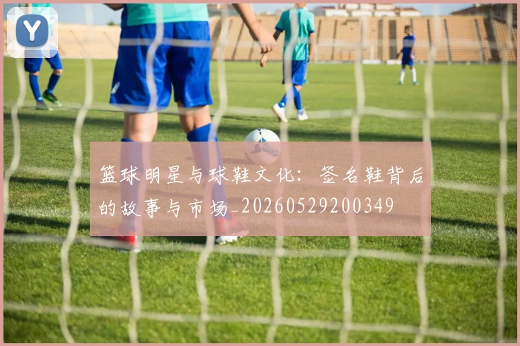 篮球明星与球鞋文化:签名鞋背后的故事与市场_20260529200349